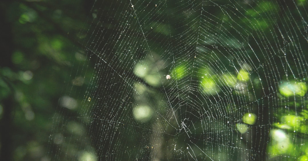 Hoe maak je je webshop duurzaam?